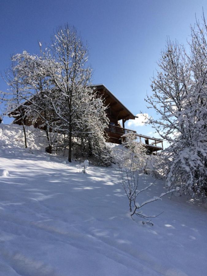 Chalet Chamois Villa Morzine Kültér fotó